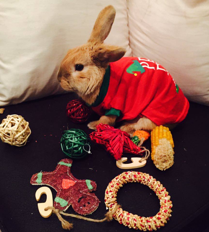 Christmas is coming