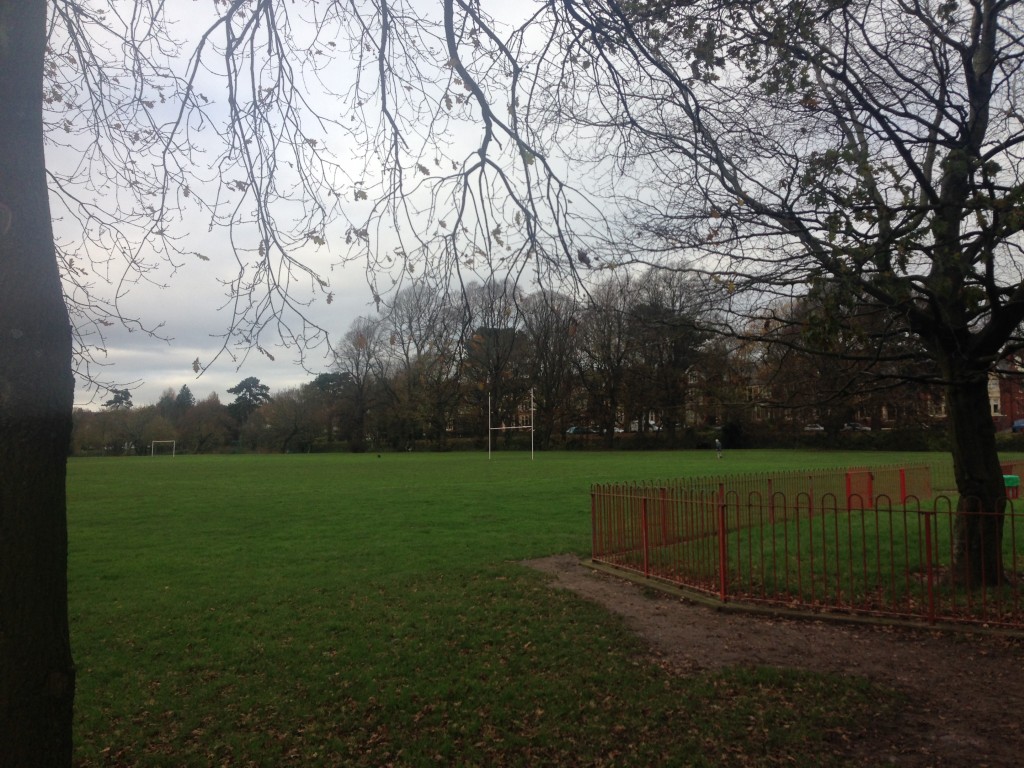 Cardiff's vey own Hyde Park