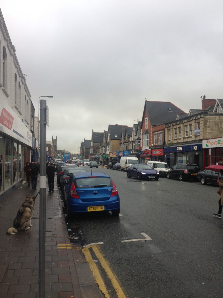 The beauty of Albany road