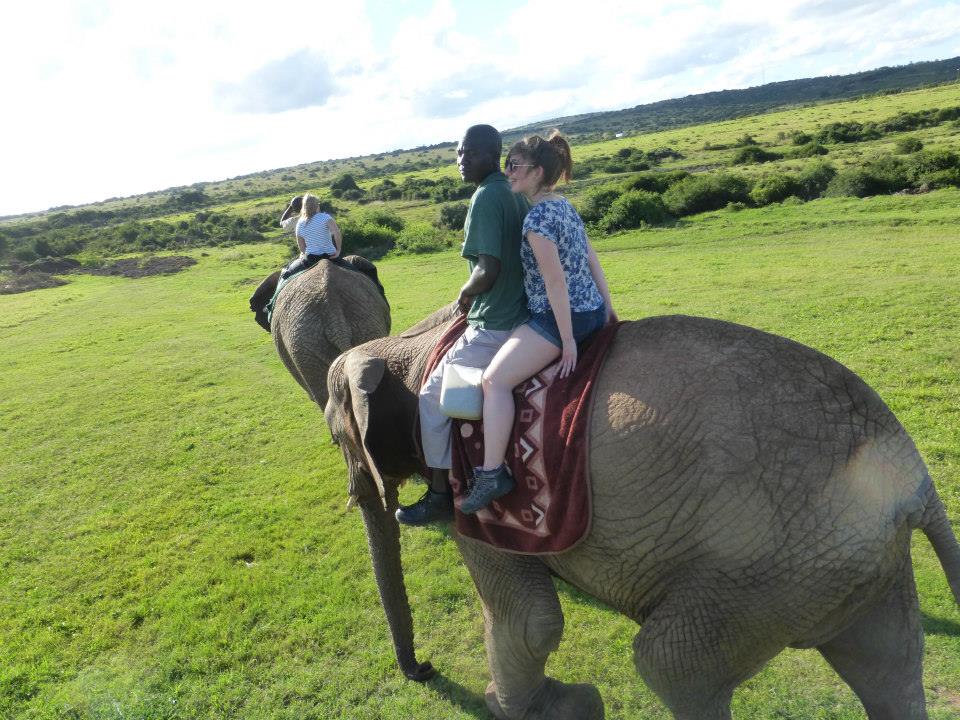 ELEPHANT 21