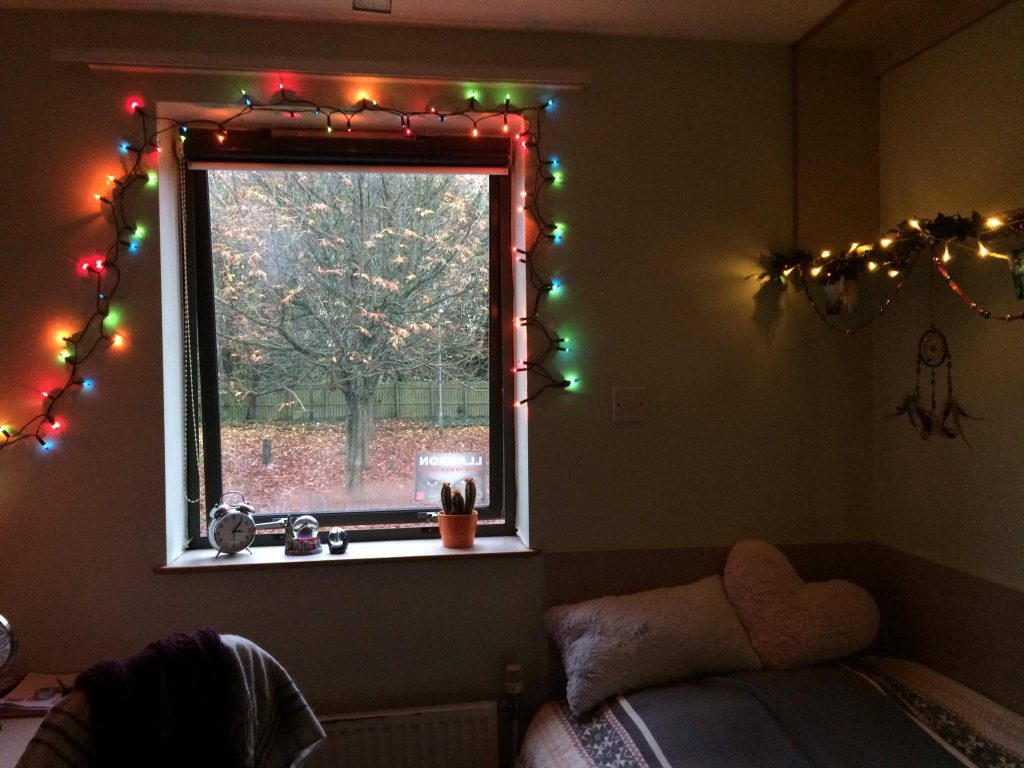 Cacti and Fairy Lights = 2 out of 3 components
