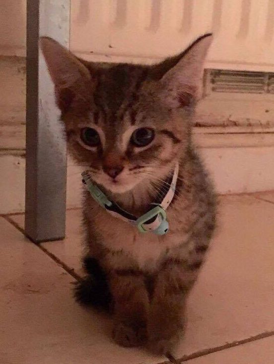 look at that cute widdle face