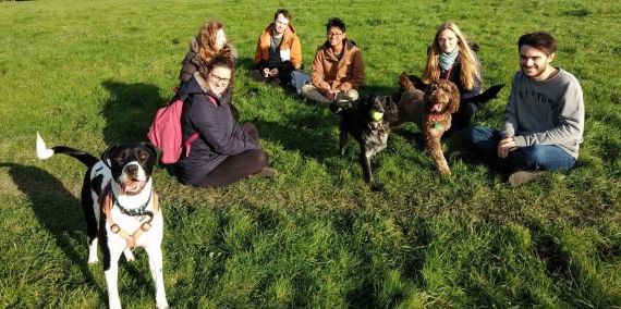 Feeling lonely? Here's how you can borrow a puppy for a day in Cathays