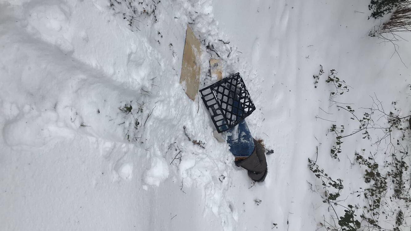 Image may contain: Snow, Outdoors