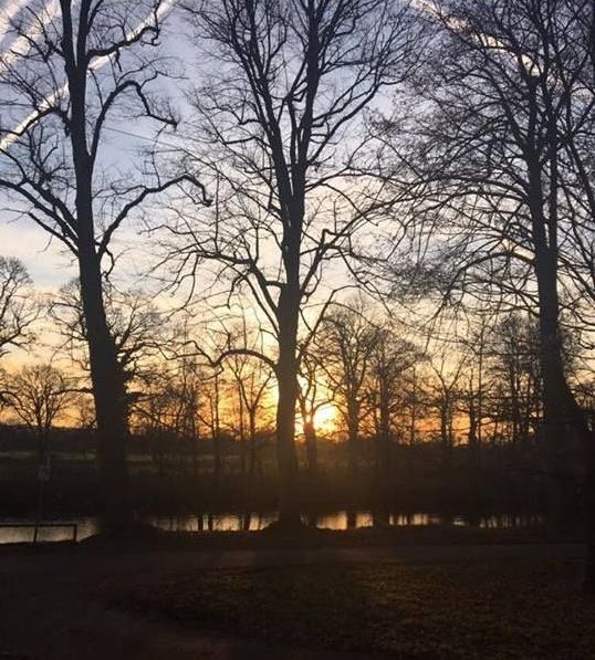 Image may contain: Silhouette, Grass, Wilderness, Dawn, Red Sky, Sunset, Dusk, Sunrise, Sunlight, Water, Sky, Scenery, Landscape, Panoramic, Grove, Nature, Forest, Land, Outdoors, Woodland, Tree, Plant, Vegetation