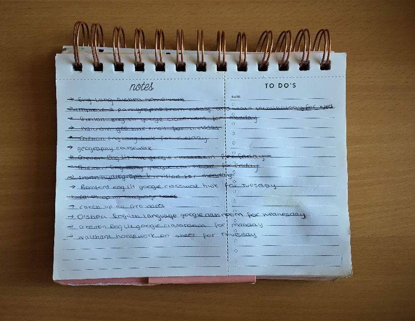 Image may contain: Document, Page, Diary, Text