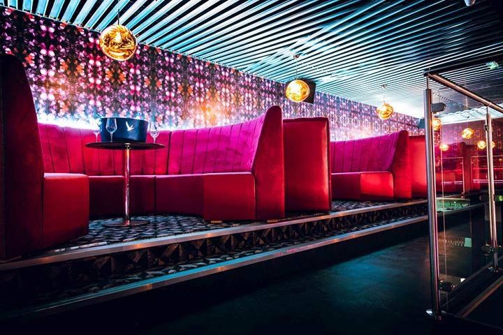 Image may contain: Pub, Bar Counter, Leisure Activities, Karaoke, Purple, Interior Design, Indoors, Night Club, Club, Lighting