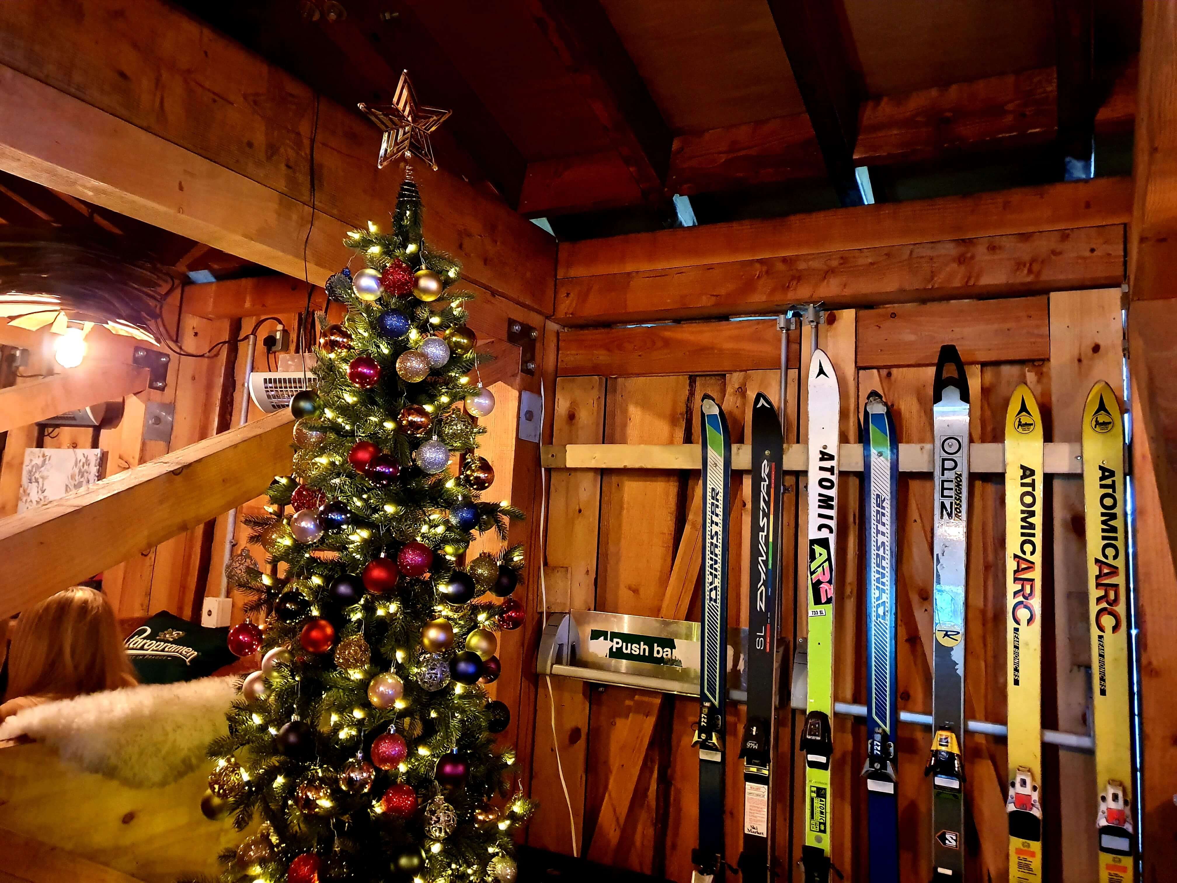 Image may contain: Building, Housing, Lighting, Person, Human, Shelf, Abies, Fir, Plywood, Ornament, Christmas Tree, Wood, Plant, Tree