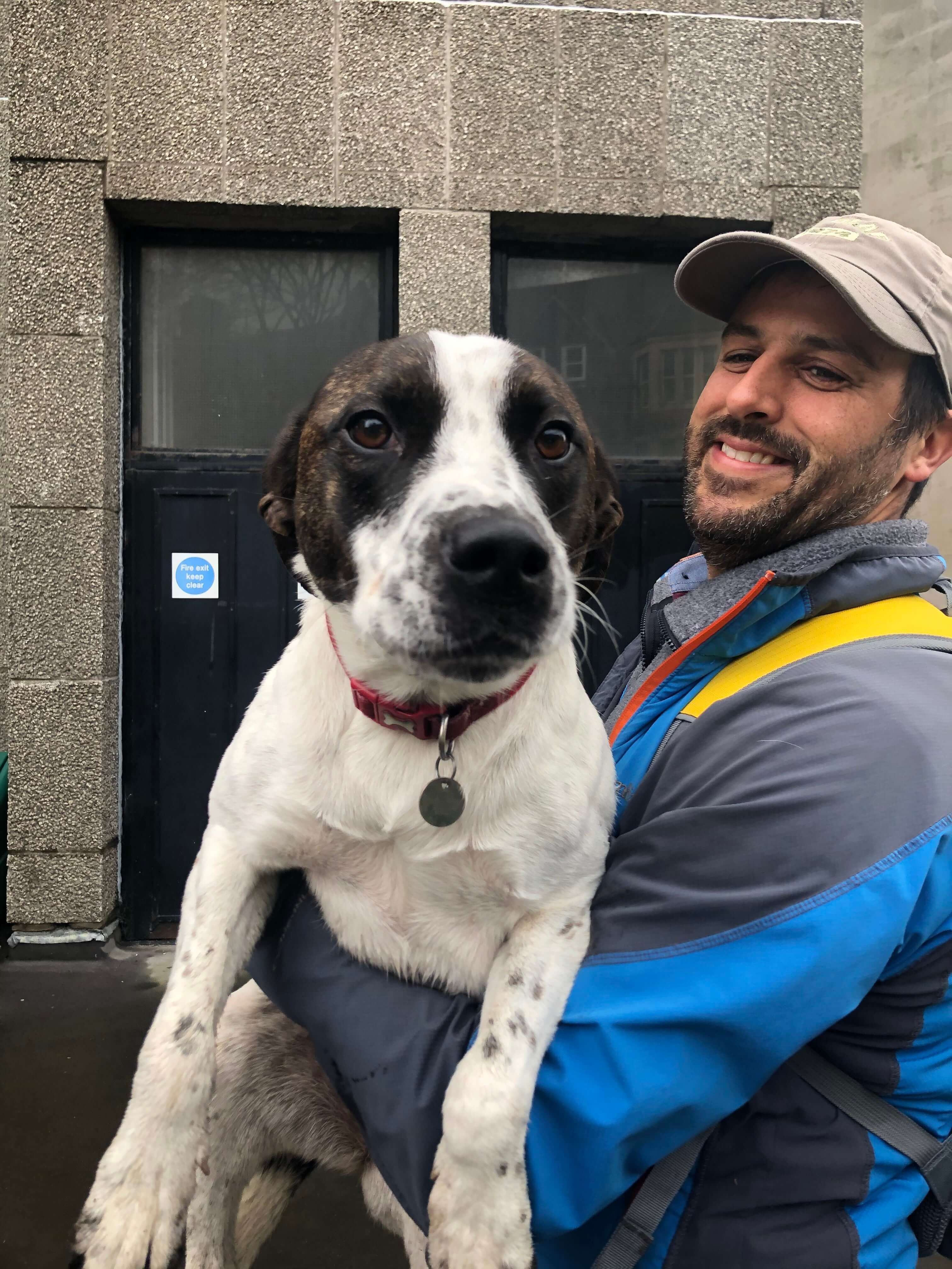 Image may contain: Hat, Strap, Hound, Apparel, Clothing, Dog, Canine, Mammal, Pet, Animal, Human, Person