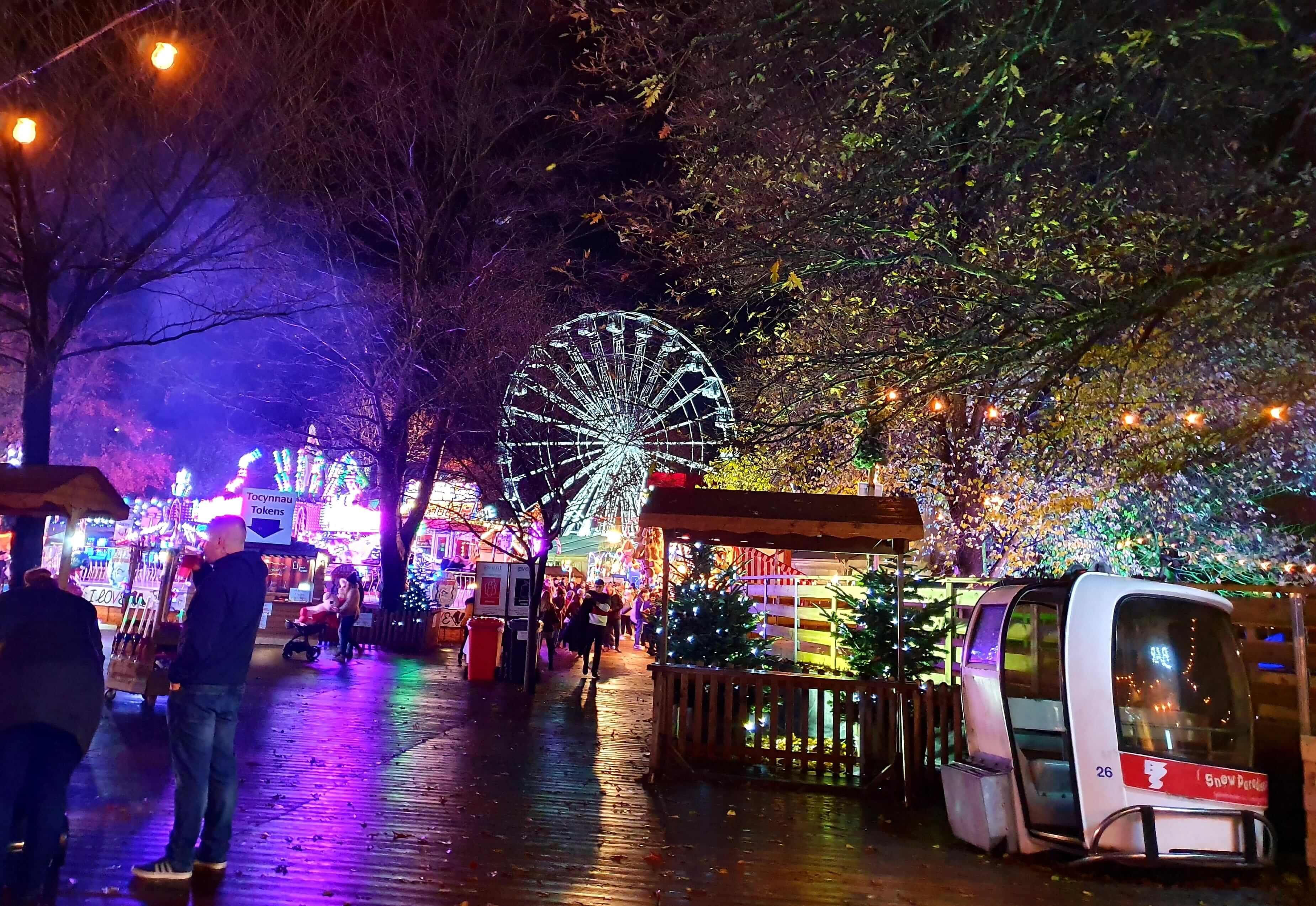 Image may contain: Light, Ferris Wheel, Shoe, Apparel, Footwear, Clothing, Lighting, Crowd, Festival, Amusement Park, Theme Park, Human, Person