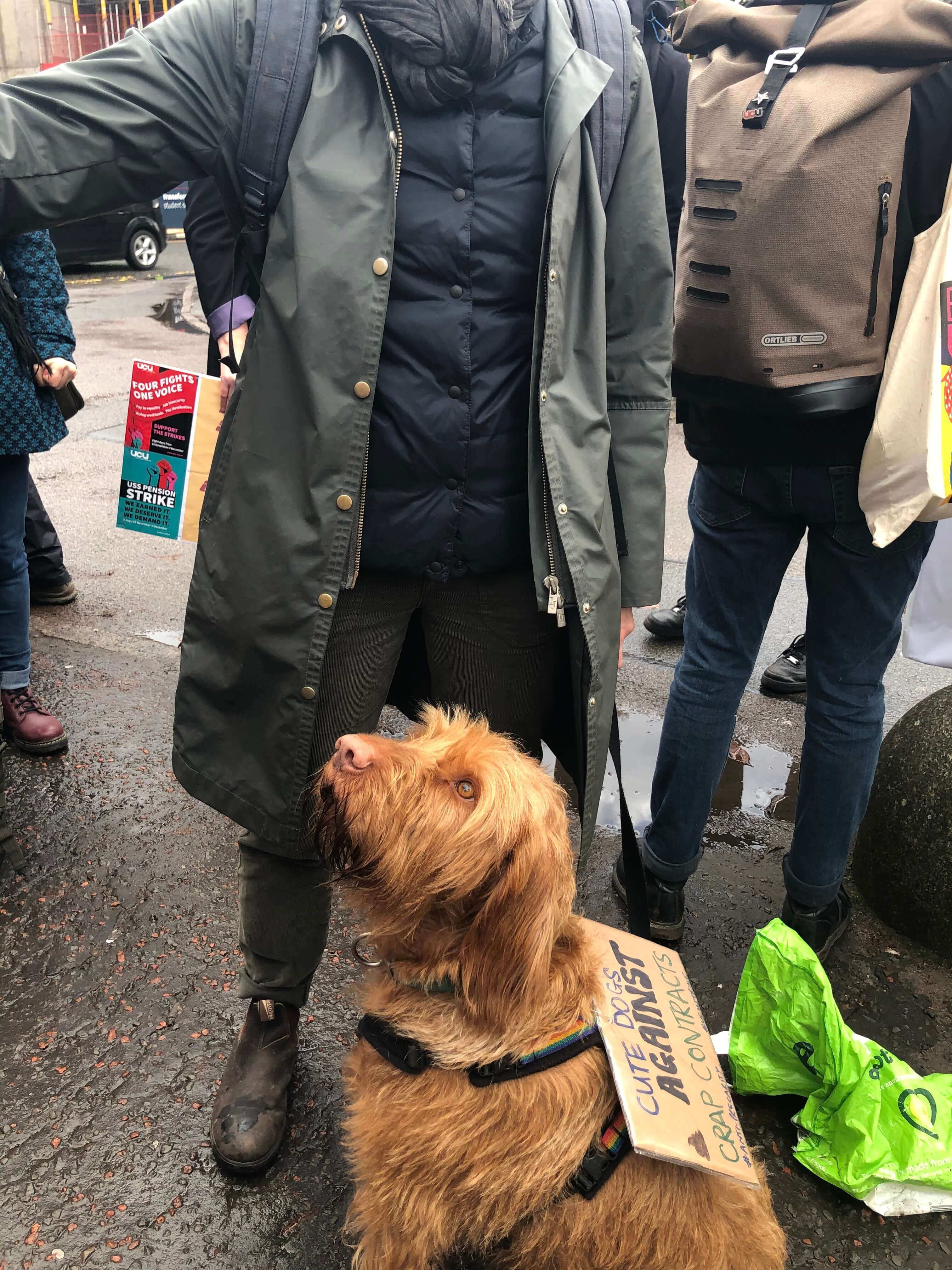 Image may contain: Machine, Wheel, Overcoat, Jacket, Strap, Pedestrian, Mammal, Canine, Animal, Terrier, Dog, Pet, Pants, Footwear, Shoe, Coat, Human, Person, Apparel, Clothing
