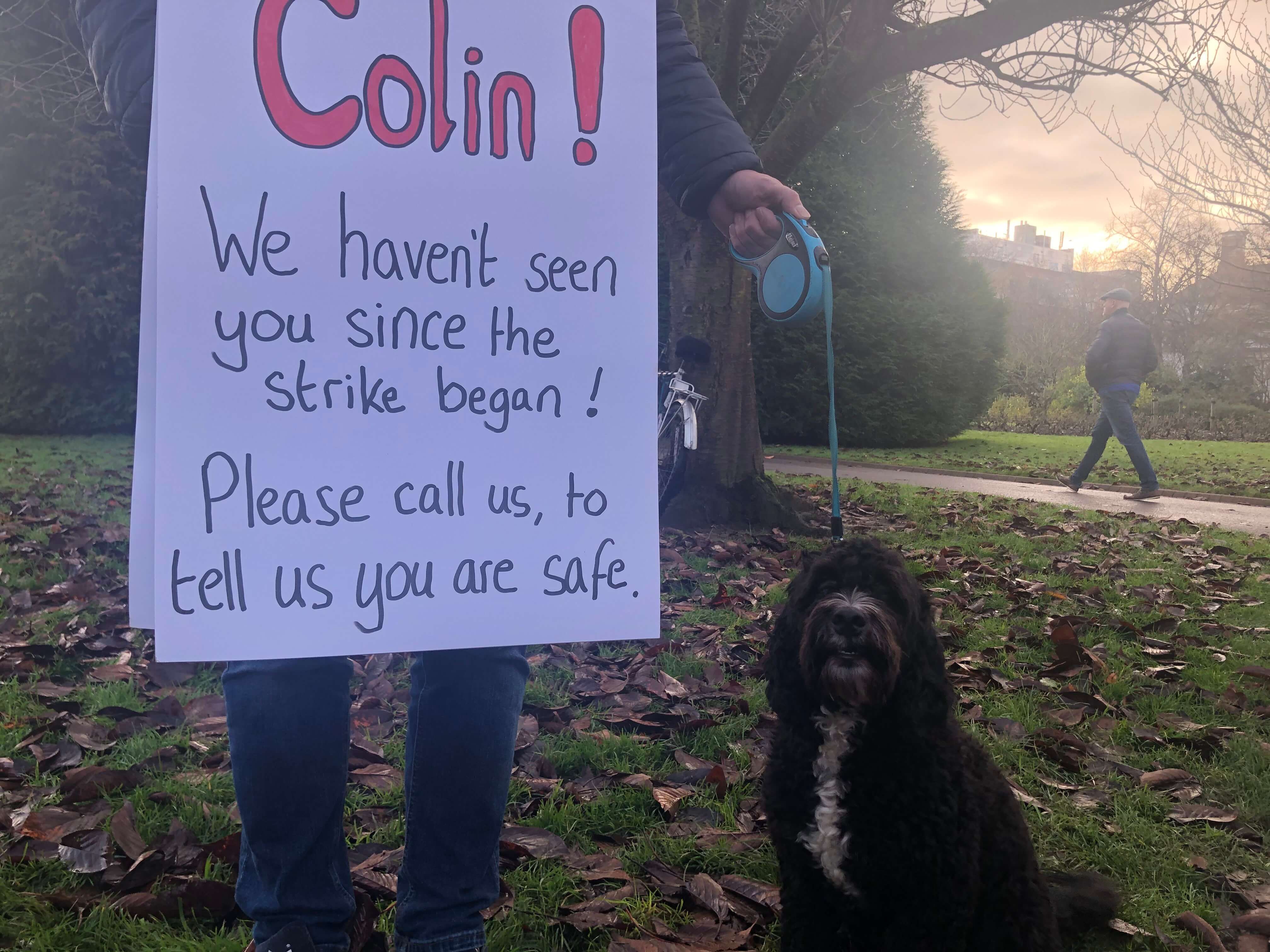 Image may contain: Text, Pet, Canine, Dog, Animal, Mammal, Human, Person