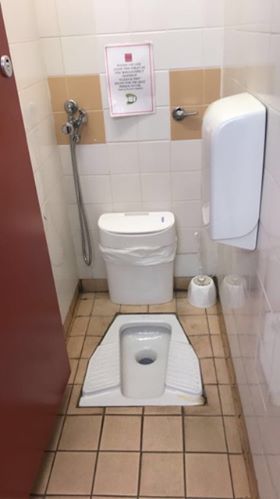 Image may contain: Toilet, Bathroom, Indoors, Room