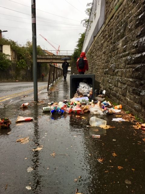 Image may contain: Urban, Bird, Animal, Trash, Person, Human