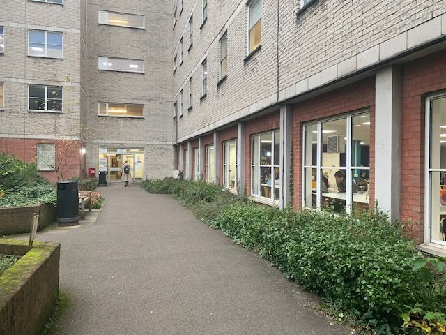 Image may contain: Alley, Alleyway, Apartment Building, Vegetation, Path, High Rise, Door, Grass, Plant, City, Street, Road, Urban, Building, Town, Person, Human