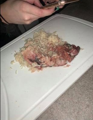 Image may contain: Meal, Food, Human, Person