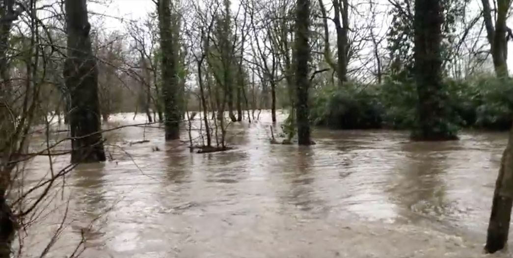 Image may contain: Flood, Nature
