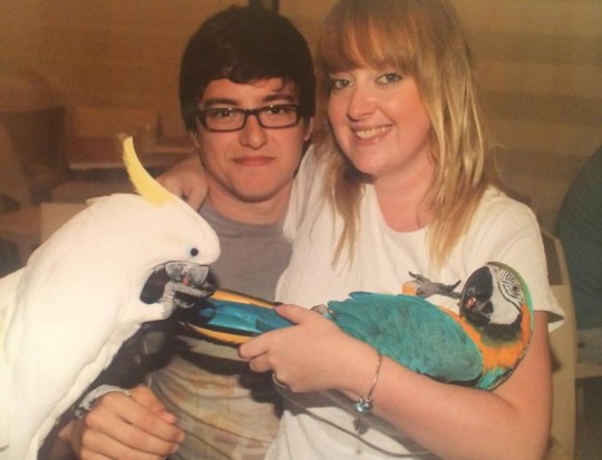 emma and dale and parrots