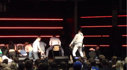 looga chair 1