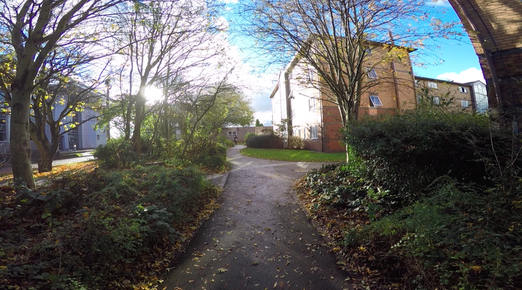 Not bad weather at all on campus