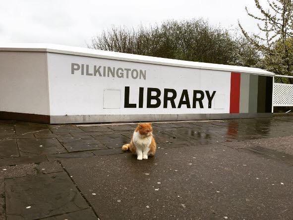 Here is Charlie, brightening up a gloomy day on campus