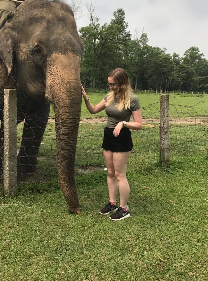 Image may contain: Outdoors, Mammal, Elephant, Animal, Person, People, Human