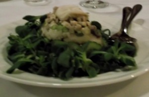 Chicken Salad