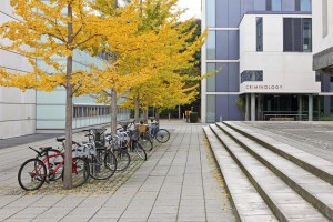 sig bikes