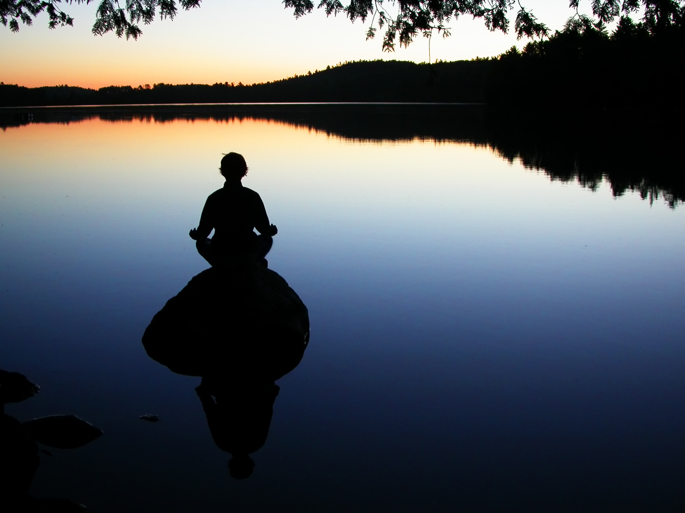 Mindfulness: finding calm in a frantic world