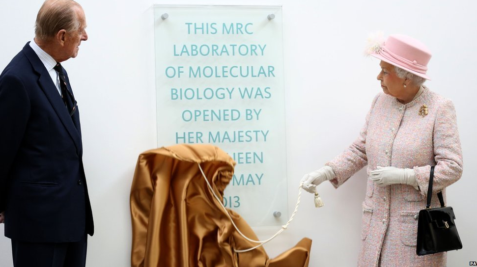 queenlab