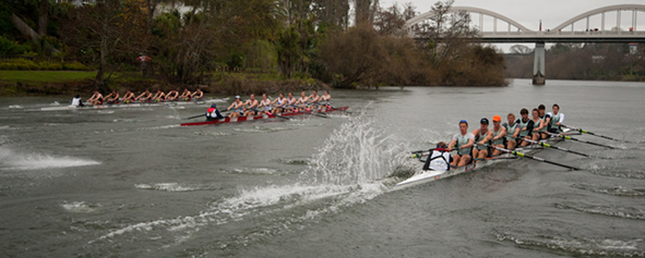 The Great Race is held on the Waikato River