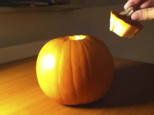 Pumpkin pandemonium