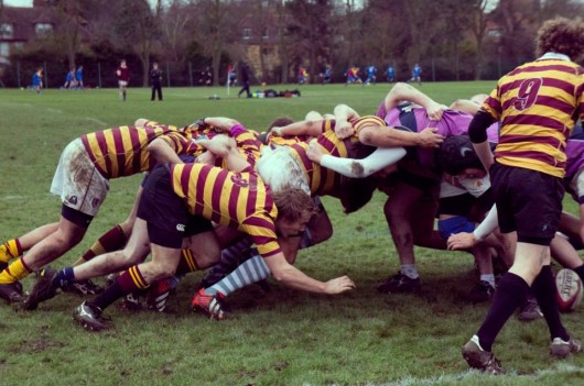 Selwyn rugby
