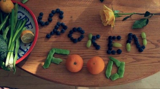 ethicalfestvideoscreenshot6 (1)