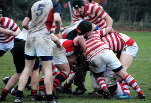 With red and white as their colours, perhaps the John's Redboys should adopt a lobster as their mascot