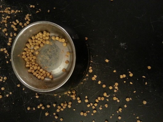 cat food mesy