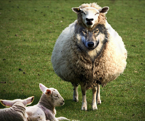 Wolf in sheep's clothing - surprisingly common