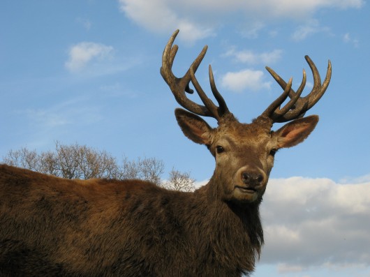 Not your average stag night