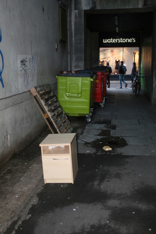 The bins outside Life: for those of you who want to get really dirty