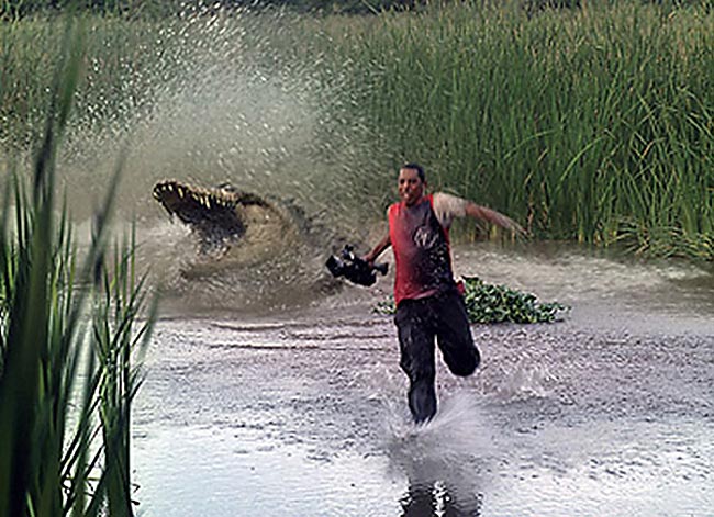 Oh look at that photo of you being chased by a crocodile. i don't care.