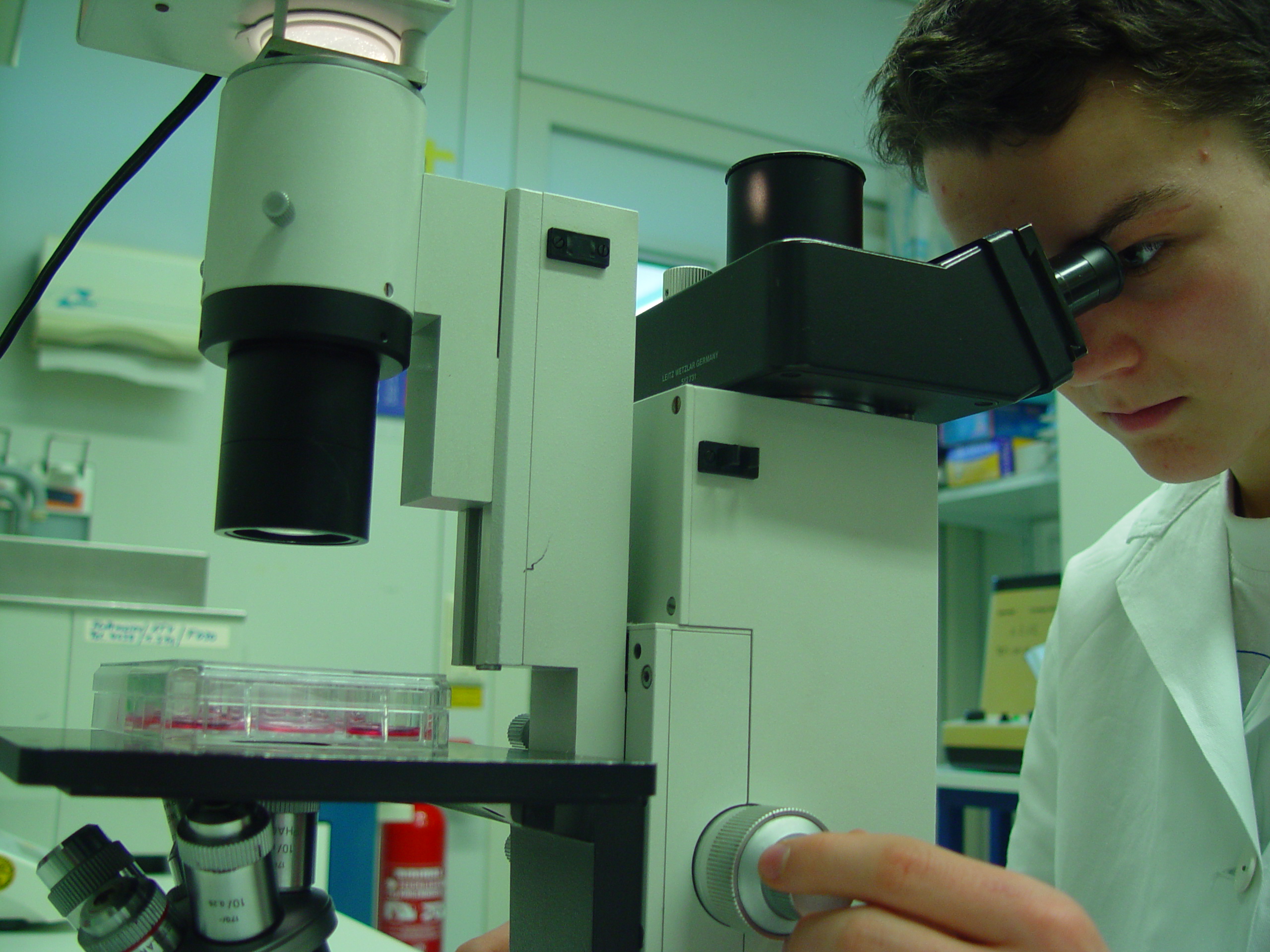 That soufflé seems about done