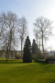 Tree 2