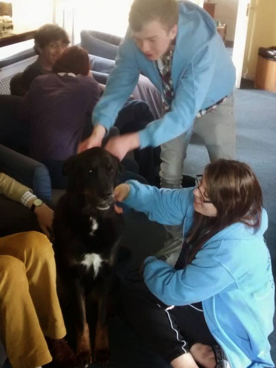 Caring canines: Peterhouse students turn to Ridley for support