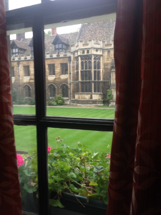 A room with a view with a noise