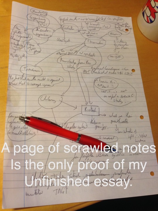 notes
