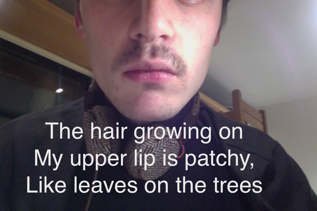 movember