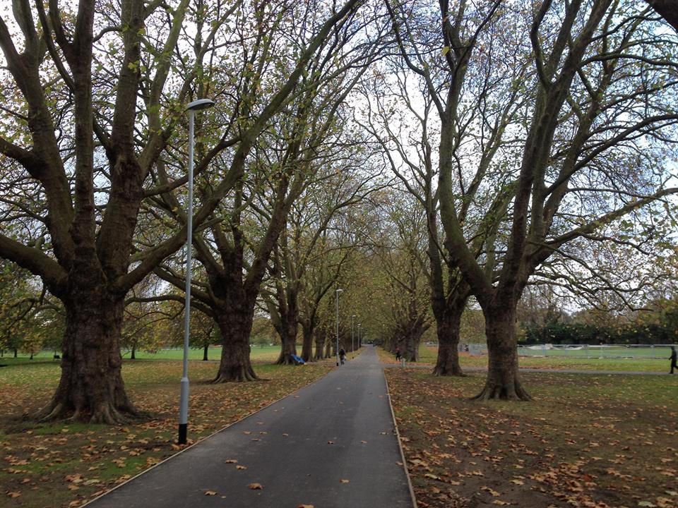 new streetlights on Jesus Green