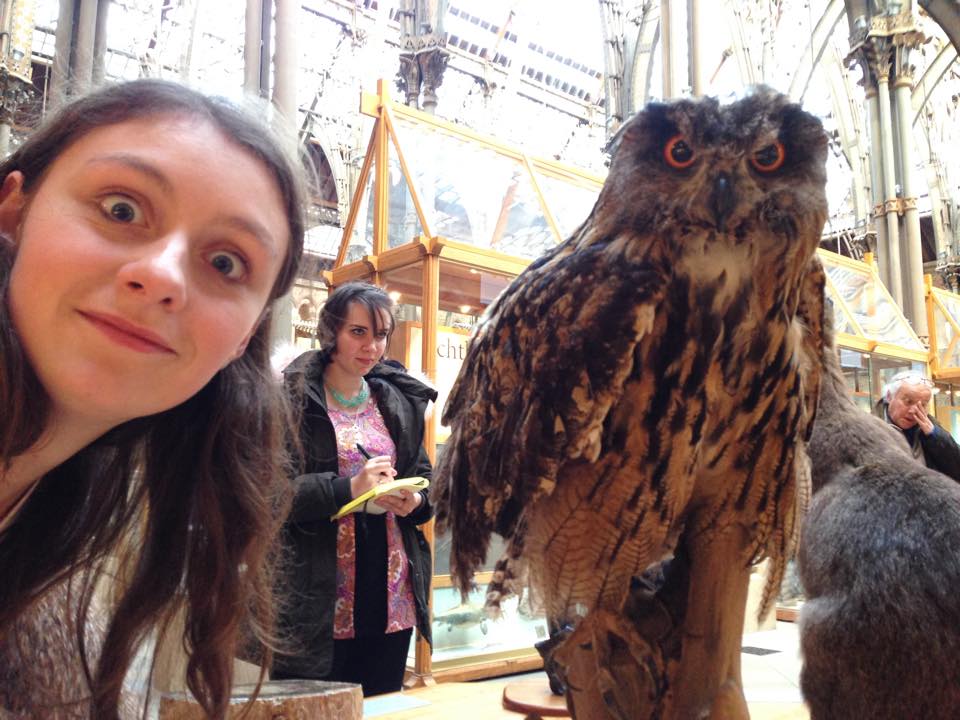 owl
