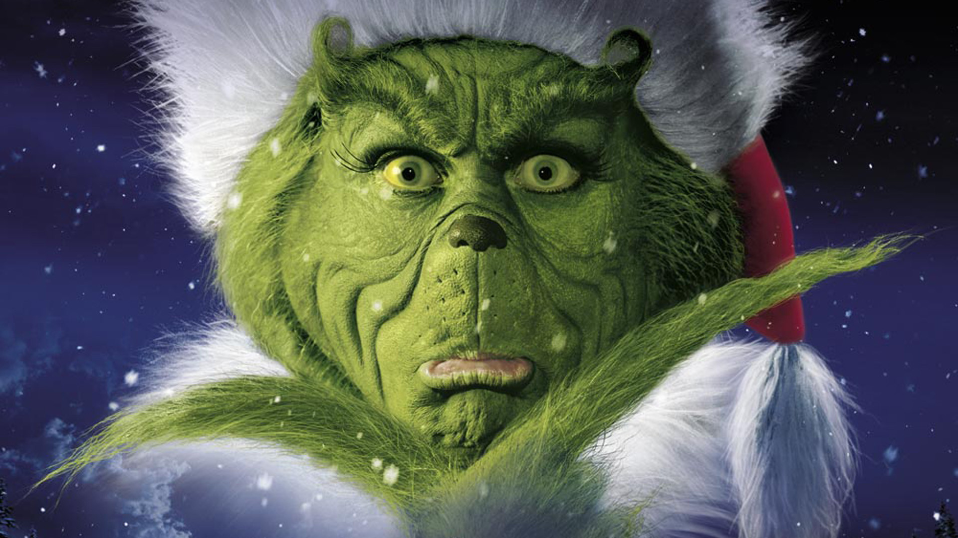 Police have issued this mugshot of the villain