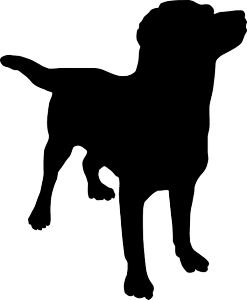 dog-149300_640